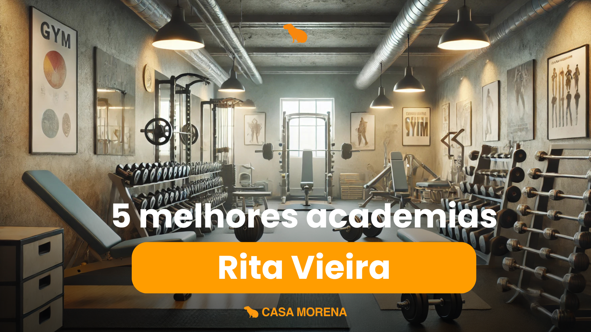 5 melhores academias do bairro Rita Vieira